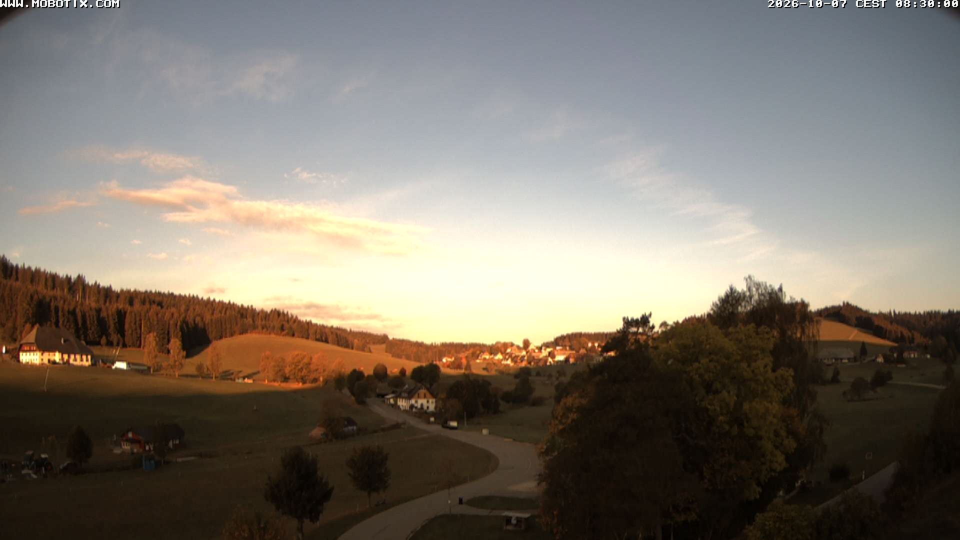 Archiv Foto Webcam Schneeberglift Waldau, Titisee