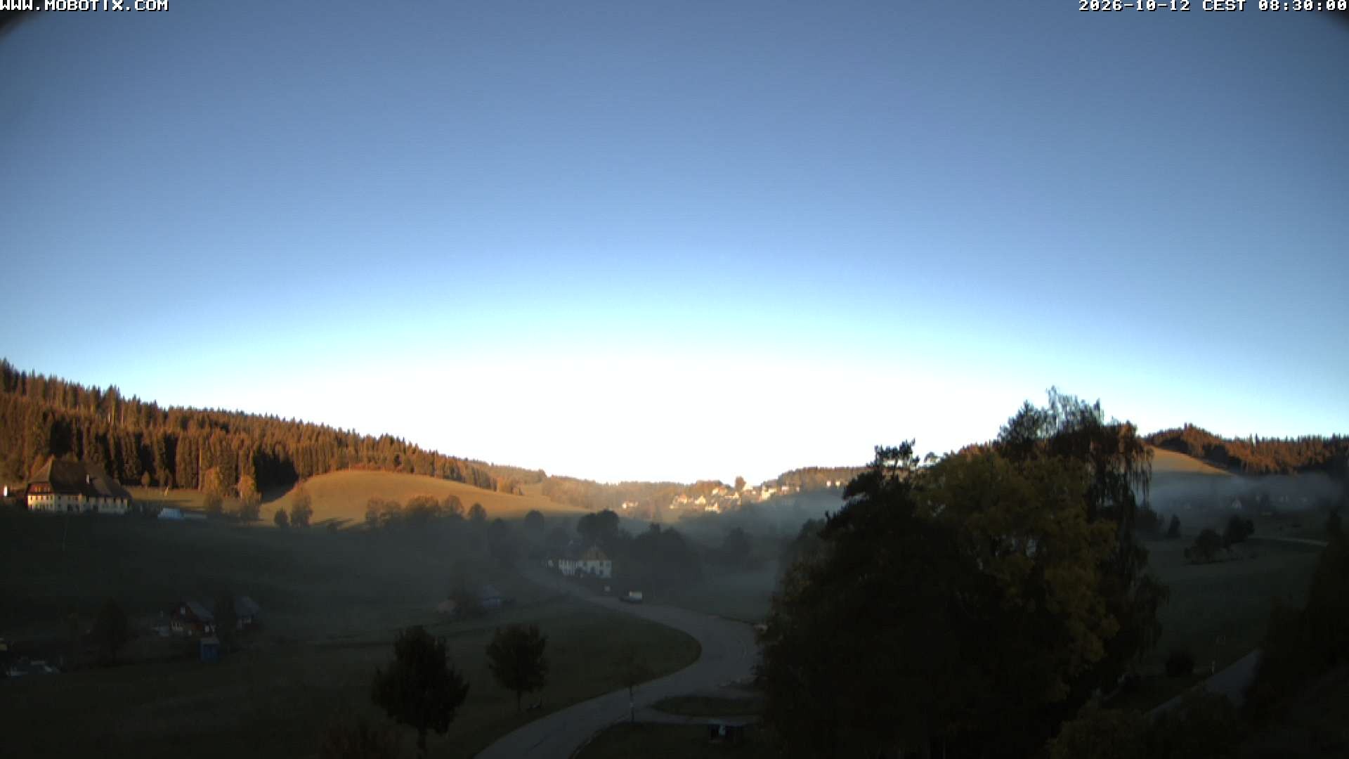 Archiv Foto Webcam Schneeberglift Waldau, Titisee