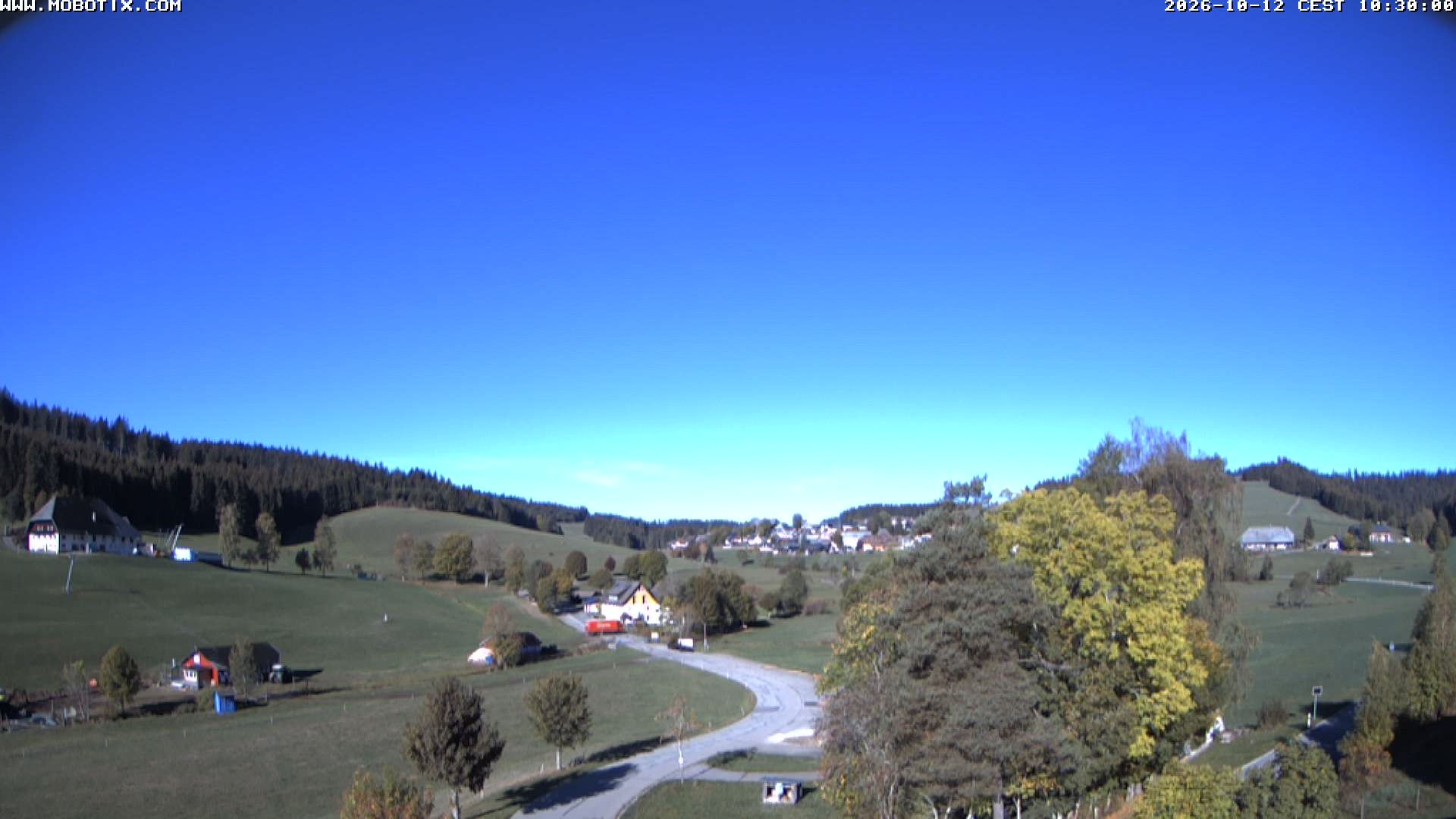 Archiv Foto Webcam Schneeberglift Waldau, Titisee