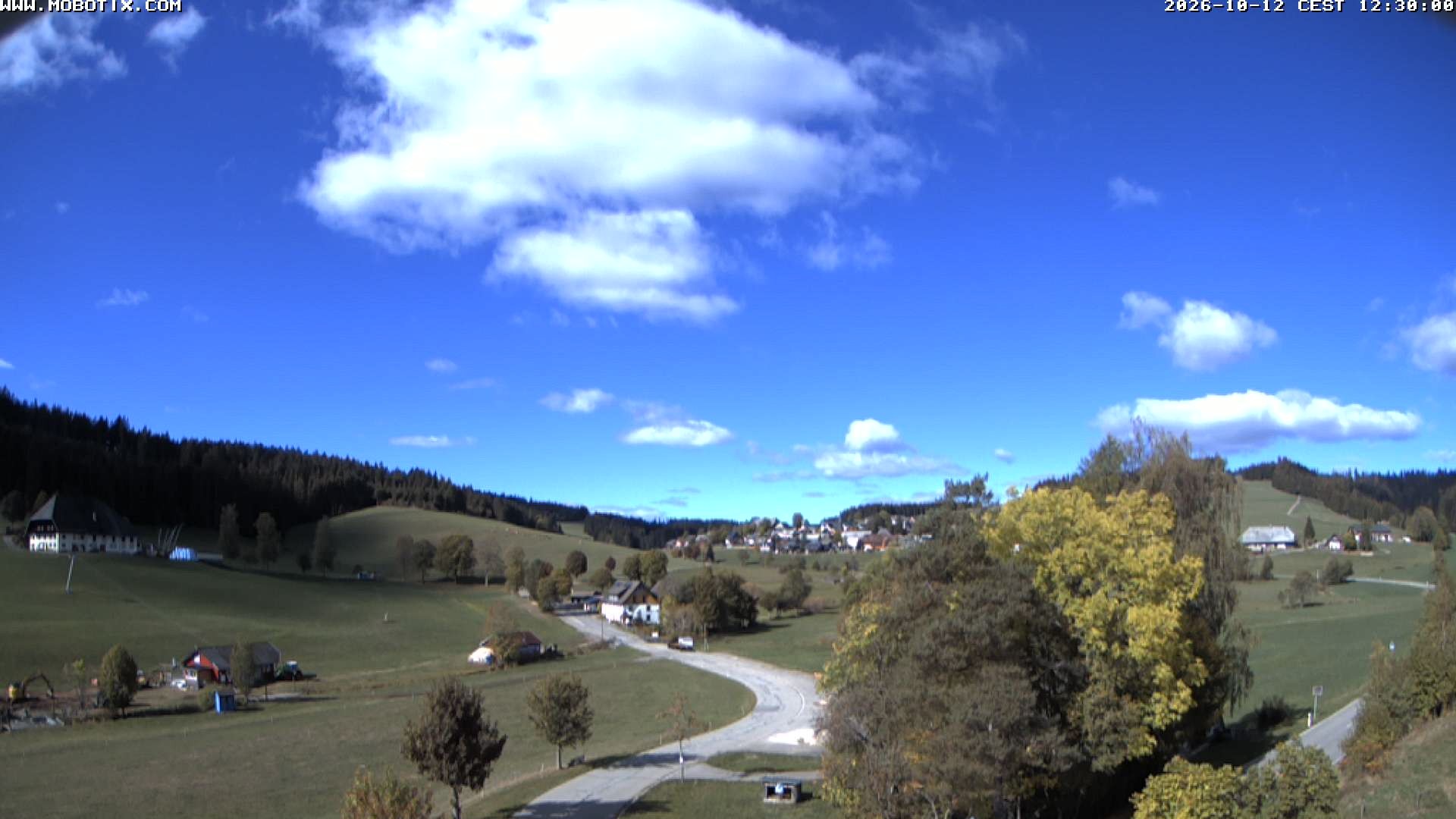 Archiv Foto Webcam Schneeberglift Waldau, Titisee
