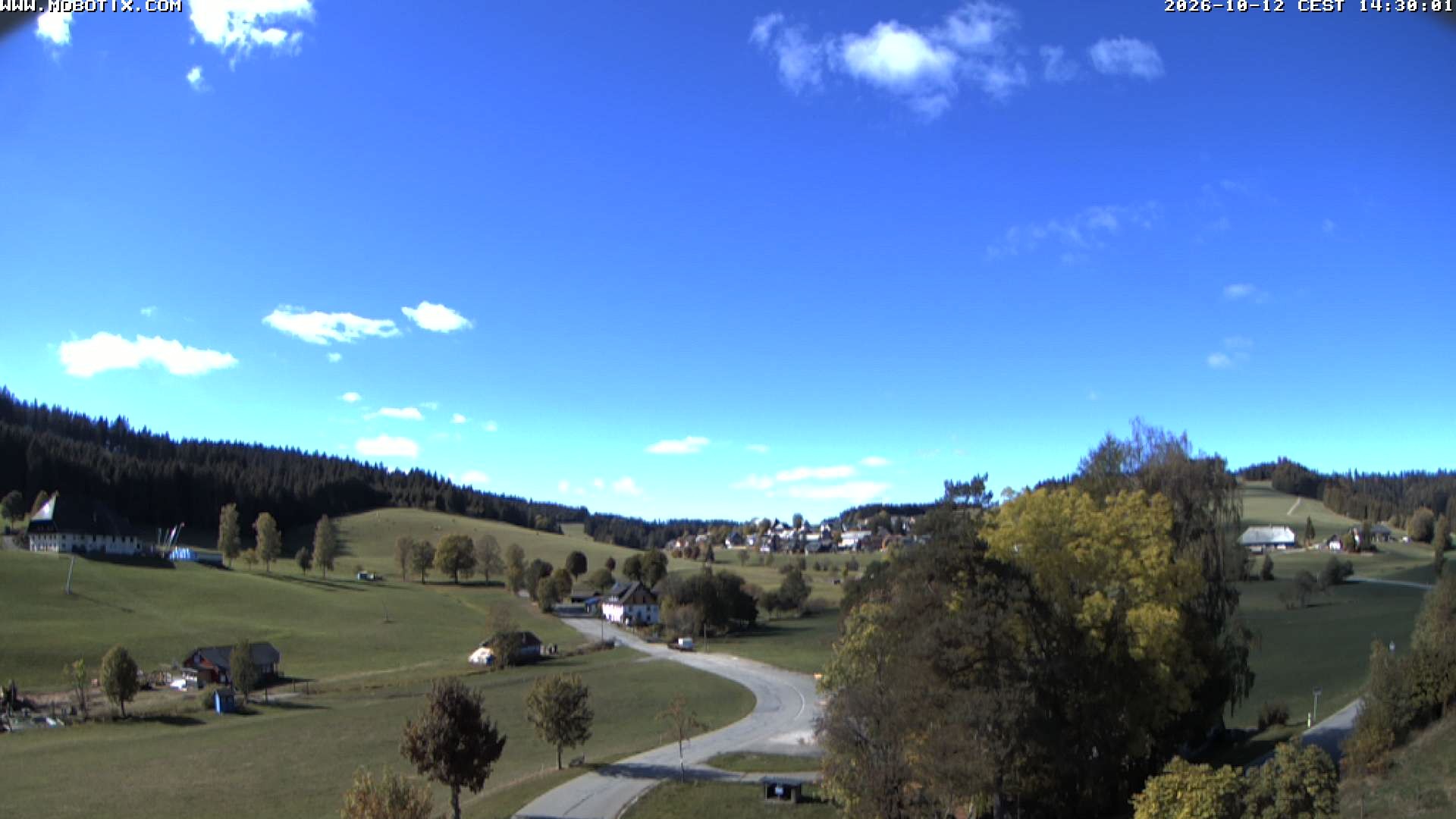 Archiv Foto Webcam Schneeberglift Waldau, Titisee