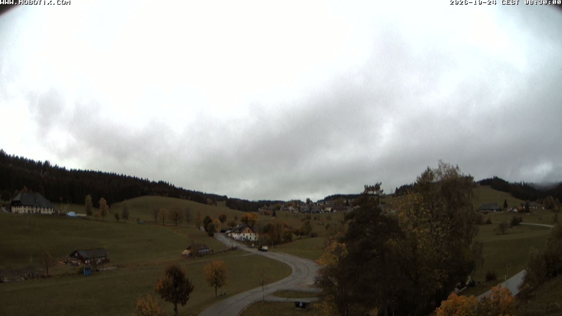 Archiv Foto Webcam Schneeberglift Waldau, Titisee