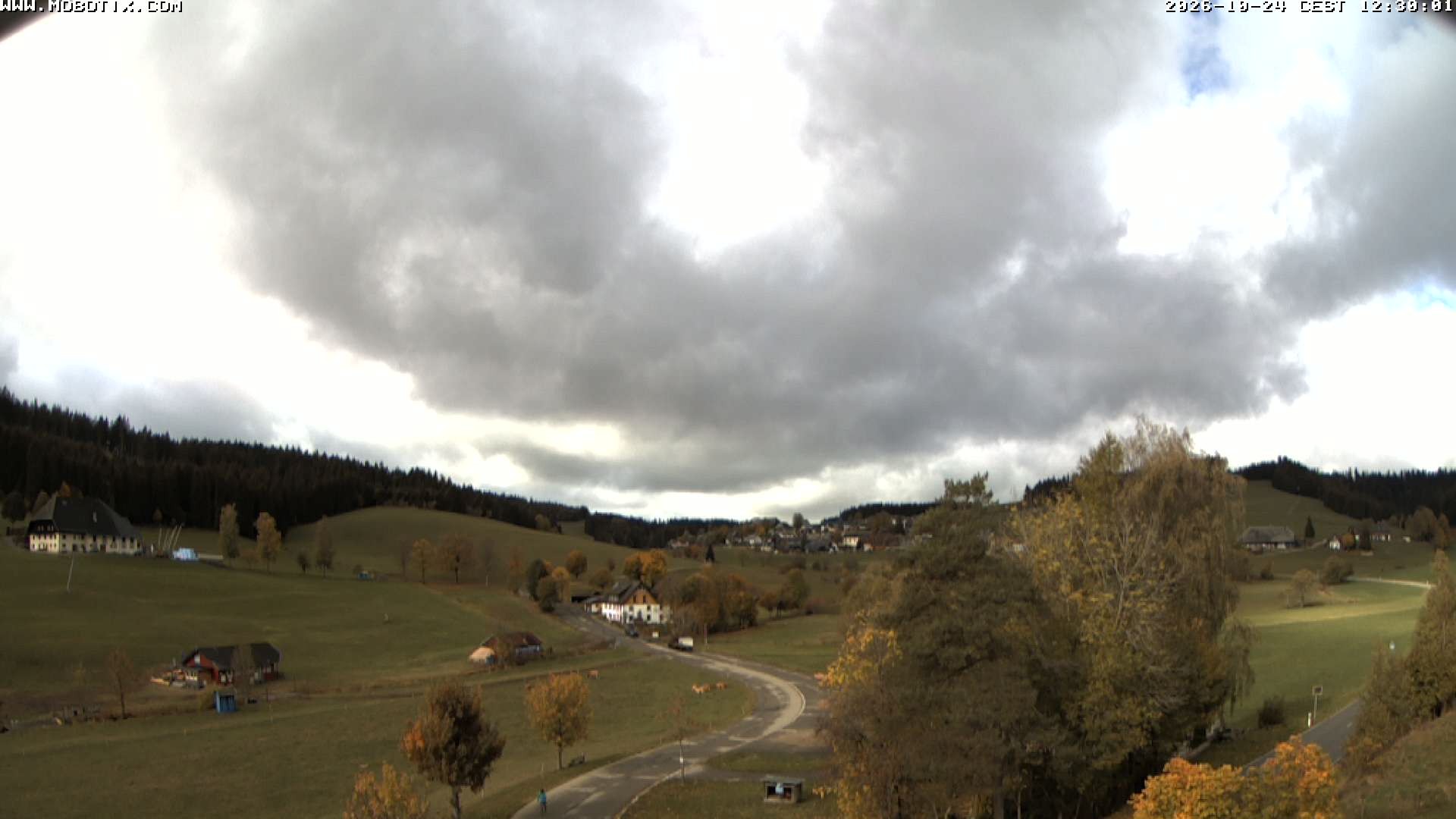 Archiv Foto Webcam Schneeberglift Waldau, Titisee