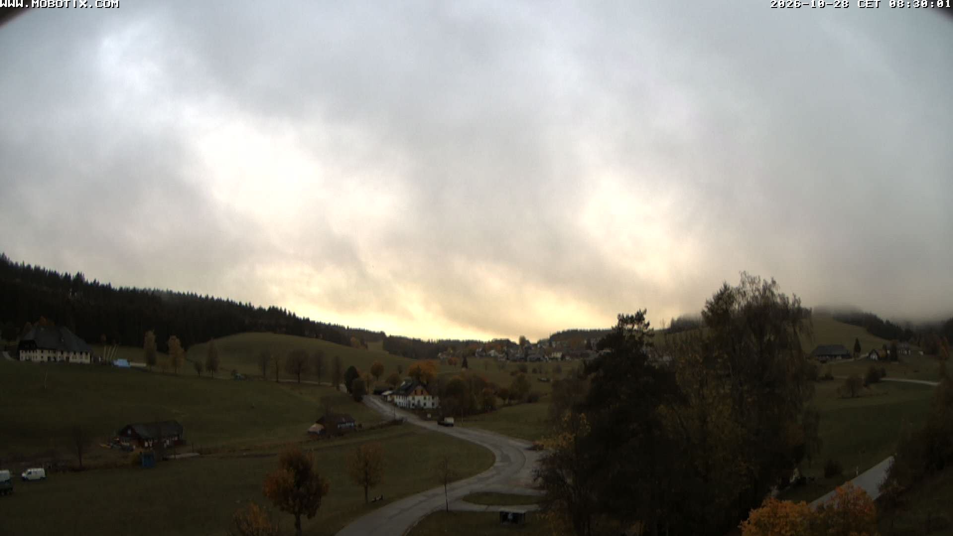 Archiv Foto Webcam Schneeberglift Waldau, Titisee