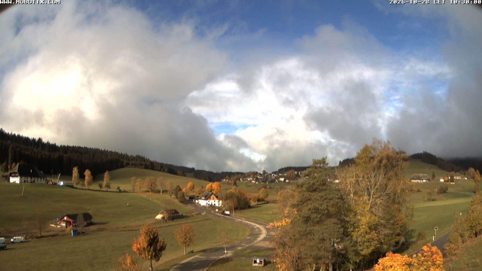 Archiv Foto Webcam Schneeberglift Waldau, Titisee