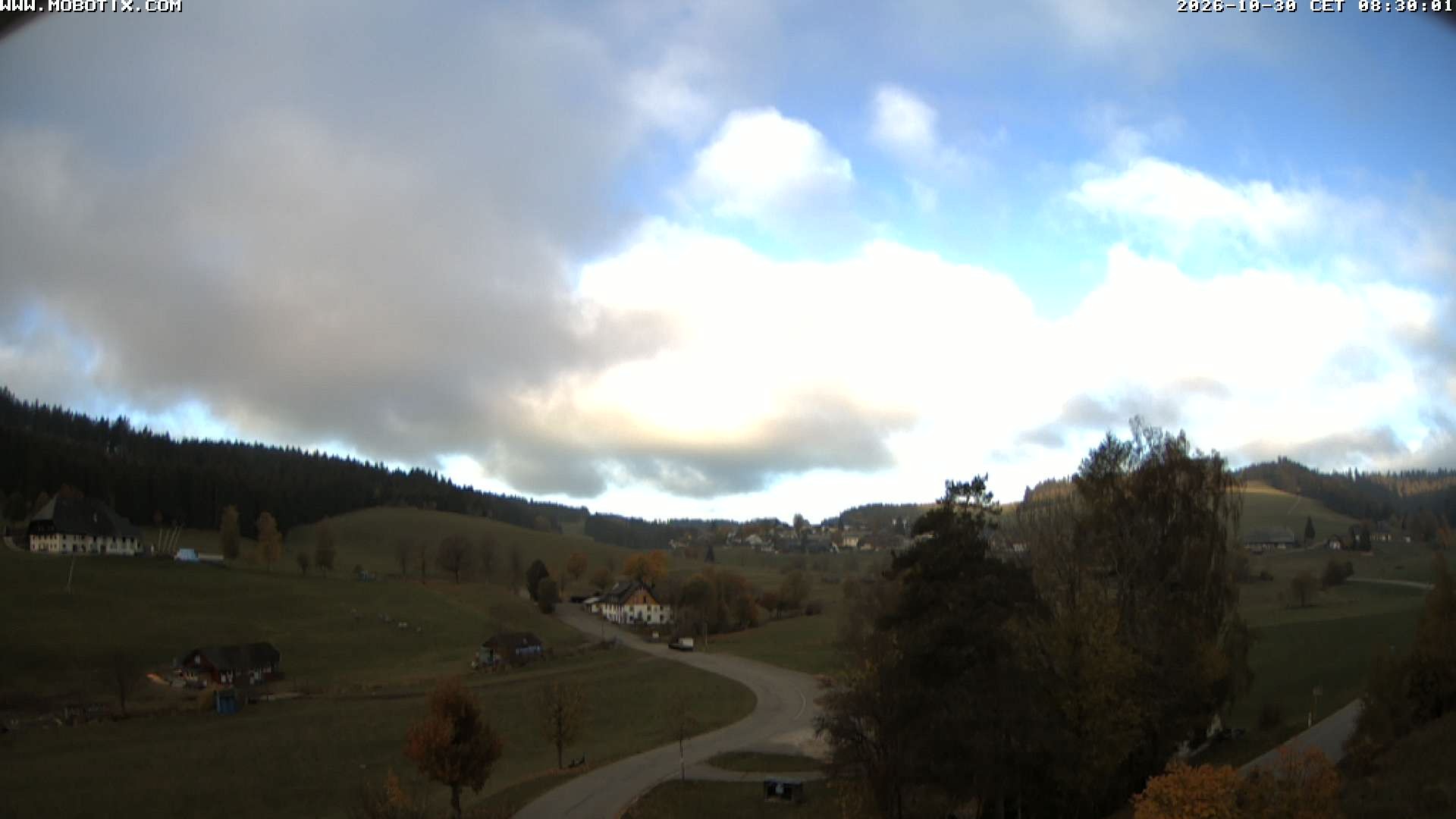 Archived image Webcam Schneeberg ski lift (Titisee)