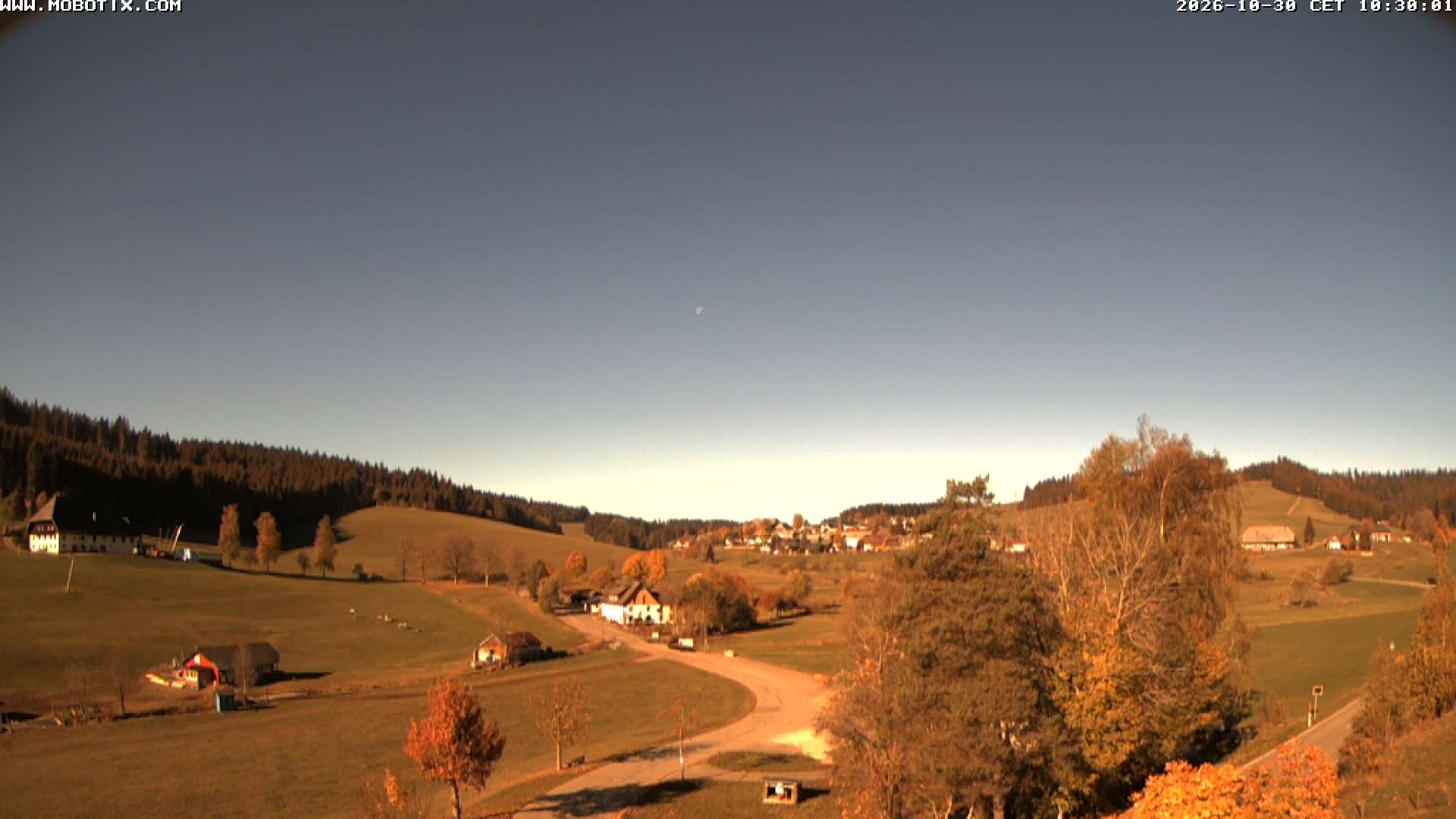 Archived image Webcam Schneeberg ski lift (Titisee)