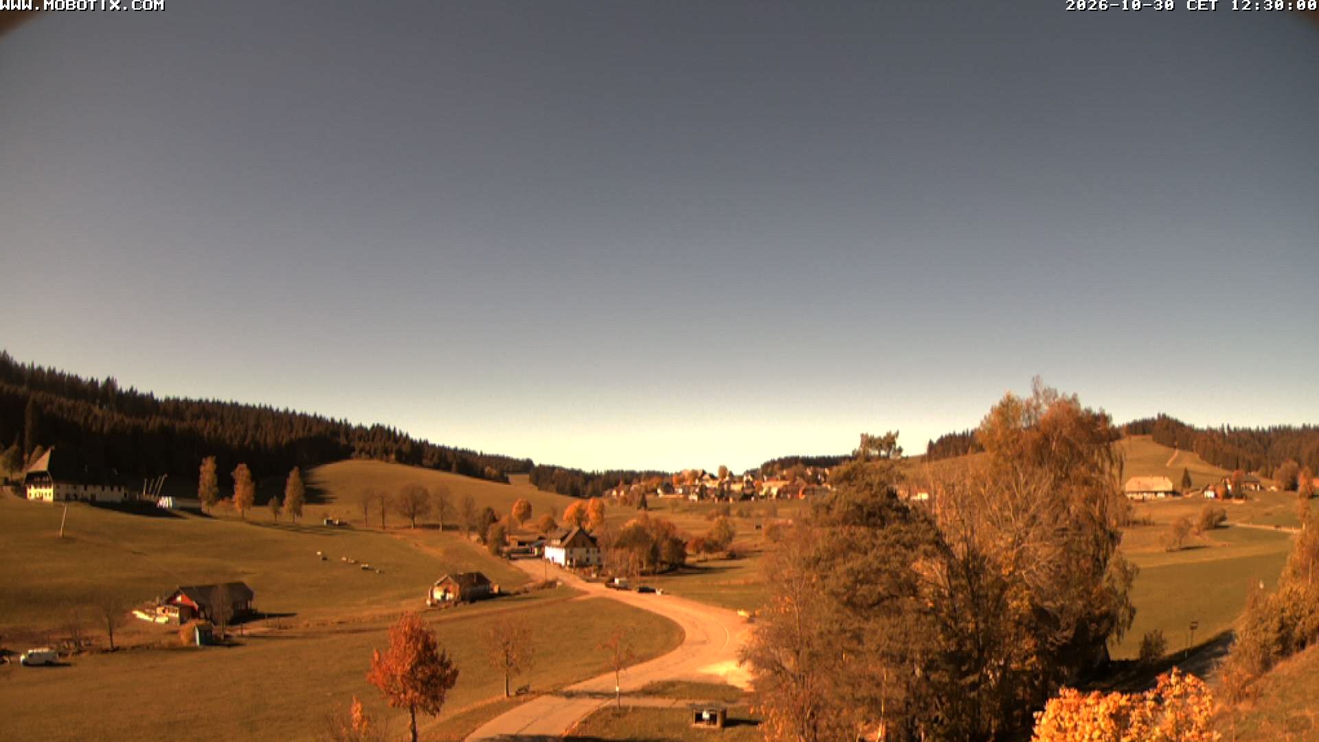 Archived image Webcam Schneeberg ski lift (Titisee)