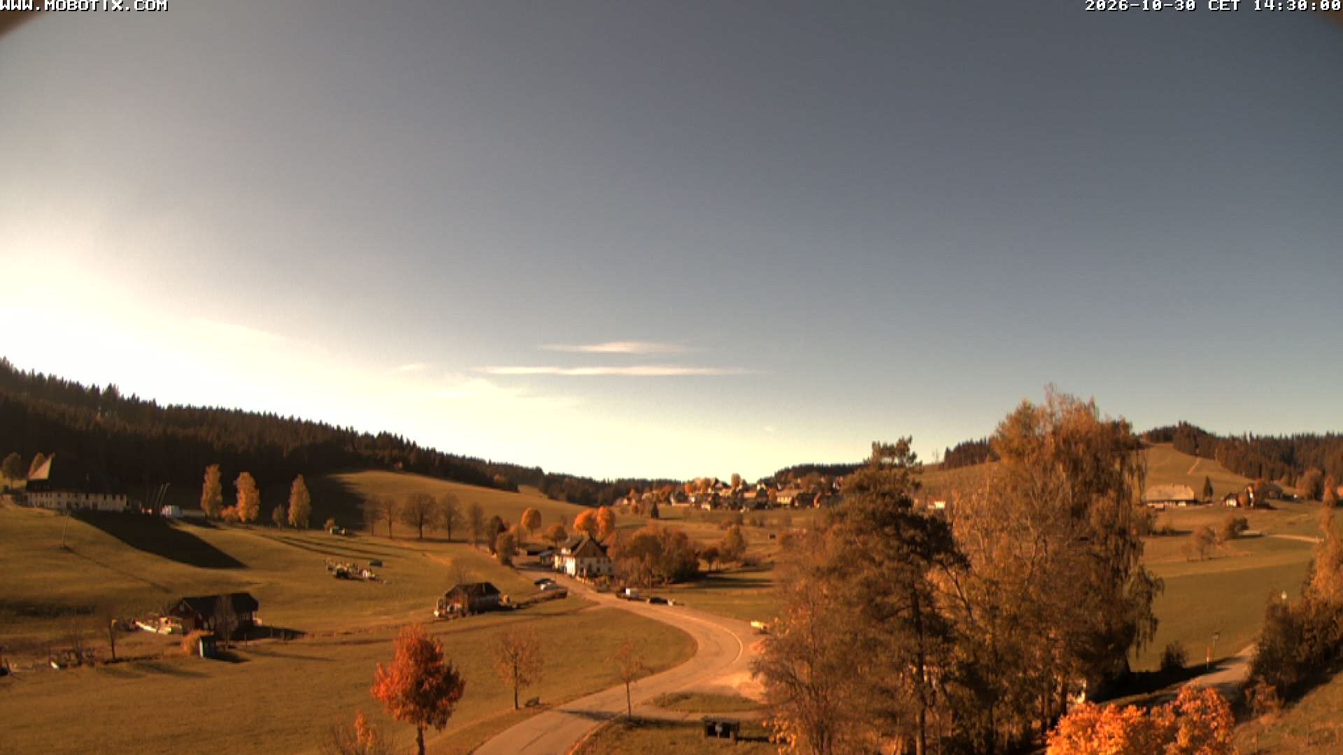 Archived image Webcam Schneeberg ski lift (Titisee)