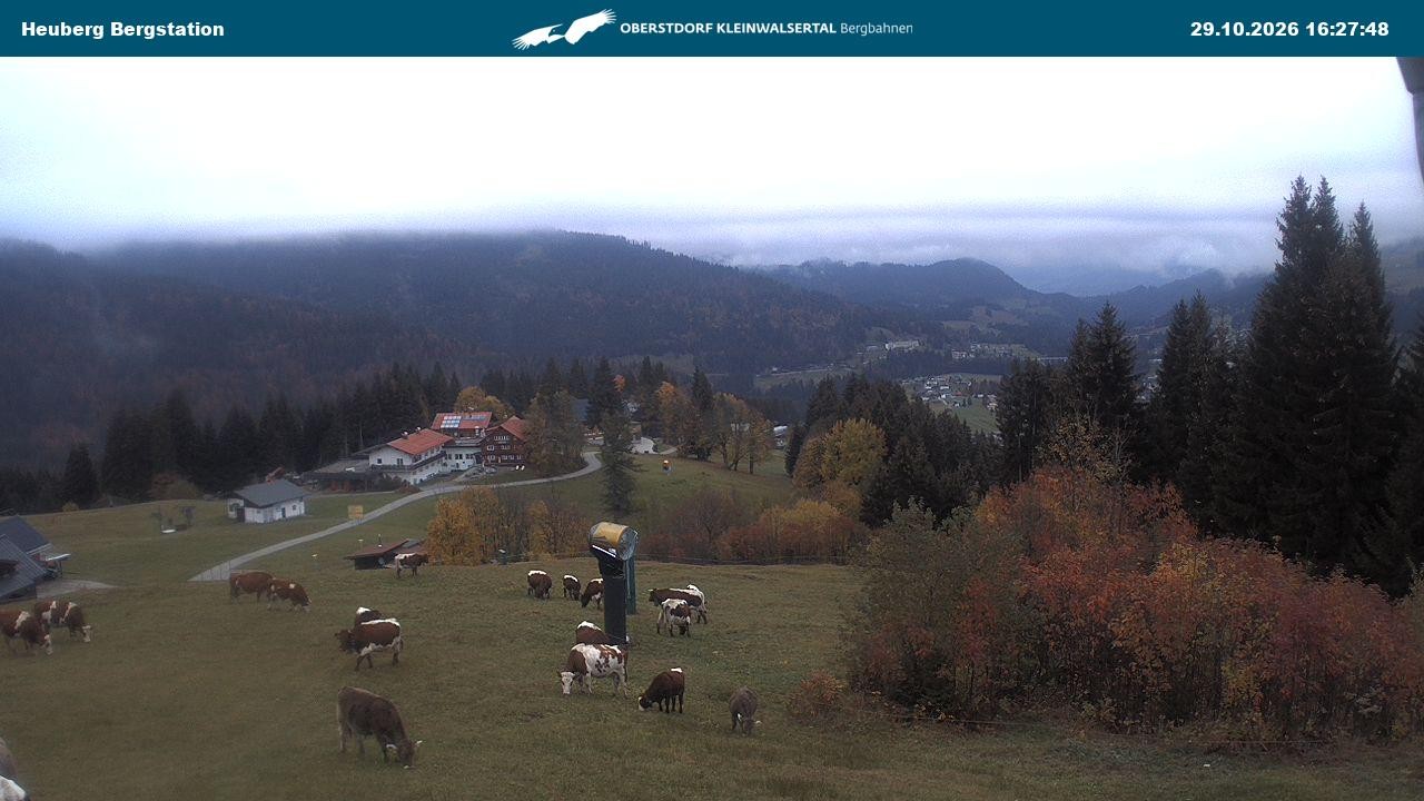 Archived image Webcam Heuberg Arena