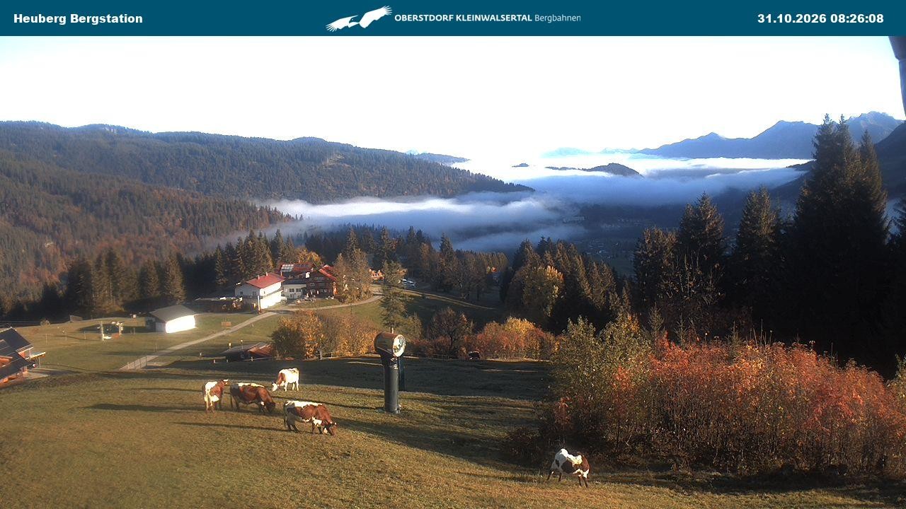 Archived image Webcam Heuberg Arena
