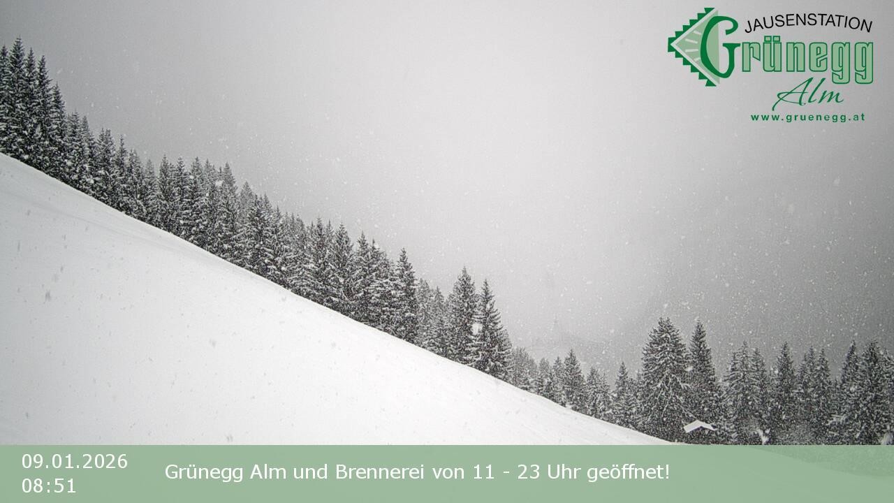 Archived image Webcam Dienten - View Grünegg Alm