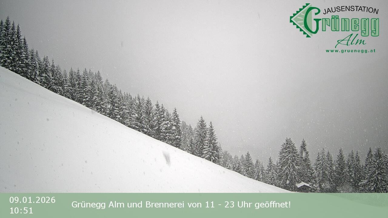 Archived image Webcam Dienten - View Grünegg Alm