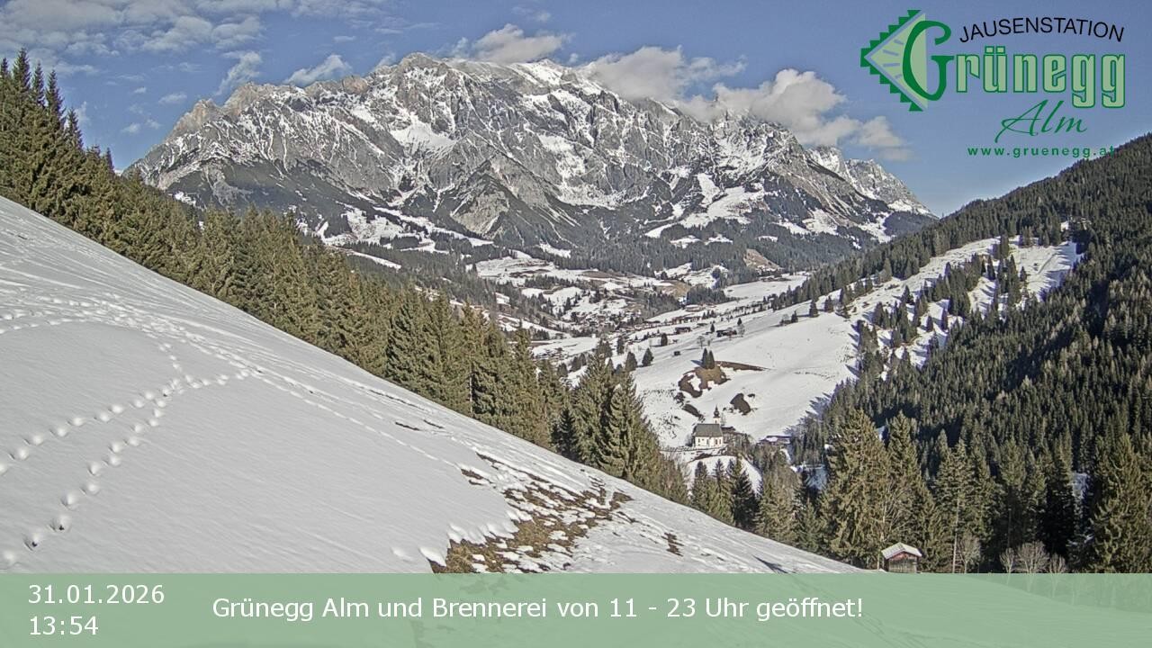 Archiv Foto Webcam Dienten: Ausblick Grünegg Alm