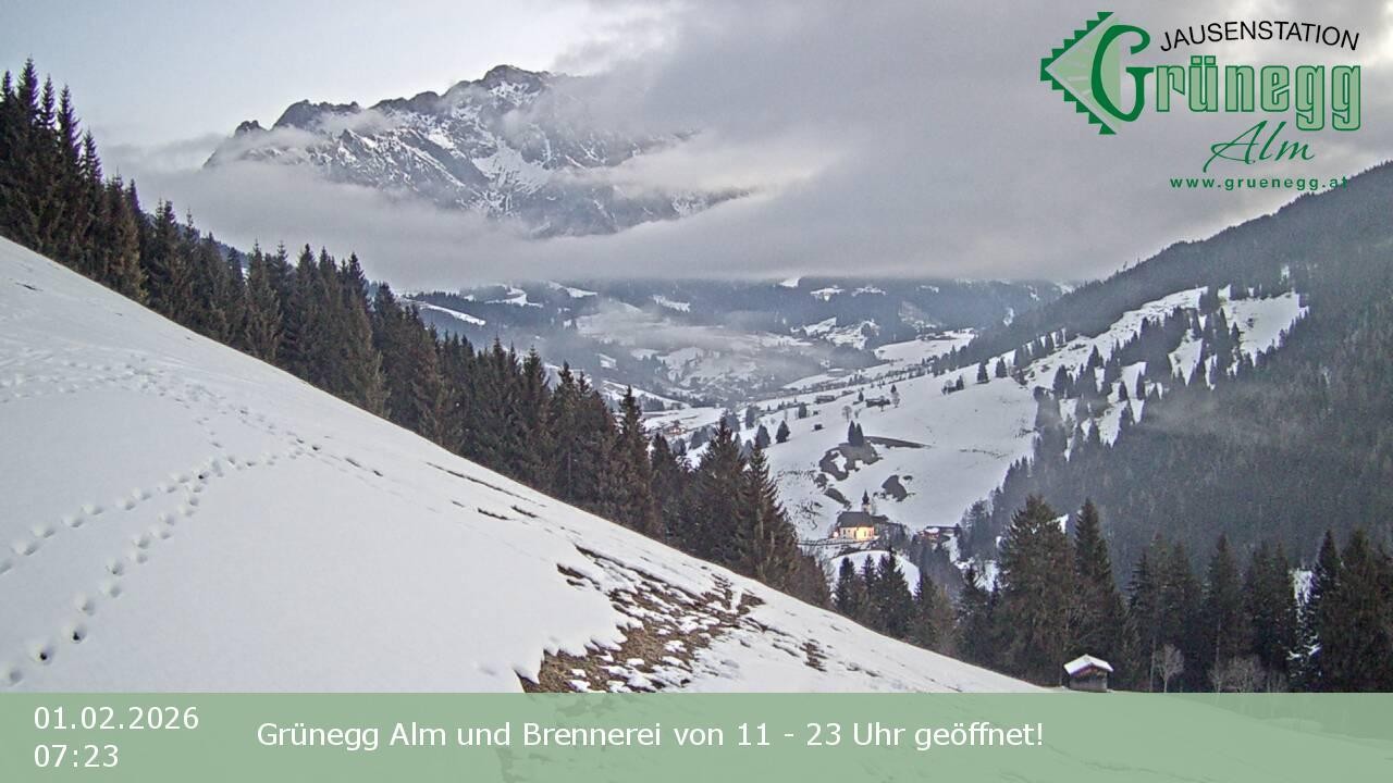 Archiv Foto Webcam Dienten: Ausblick Grünegg Alm