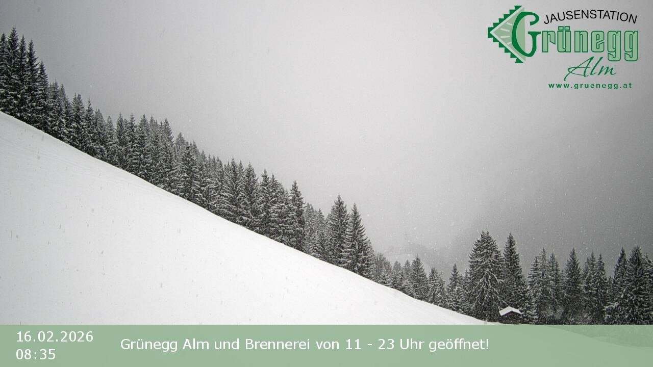 Archiv Foto Webcam Dienten: Ausblick Grünegg Alm
