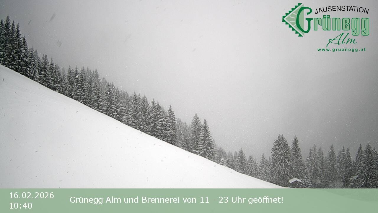 Archiv Foto Webcam Dienten: Ausblick Grünegg Alm