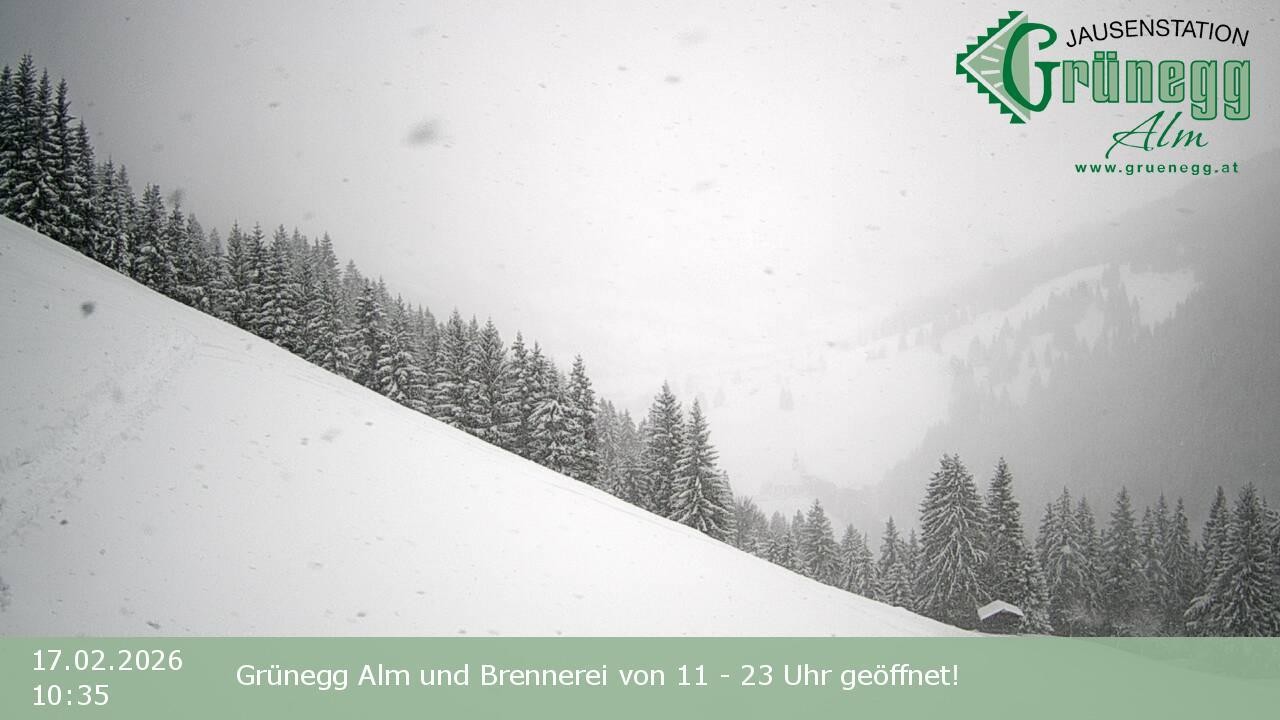 Archived image Webcam Dienten - View Grünegg Alm
