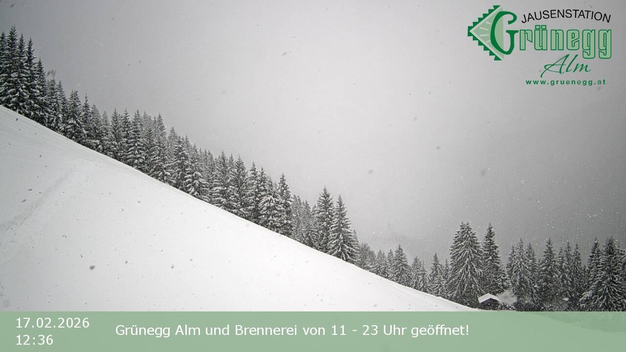 Archived image Webcam Dienten - View Grünegg Alm