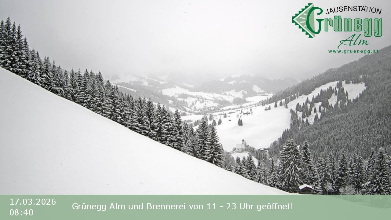 Archiv Foto Webcam Dienten: Ausblick Grünegg Alm