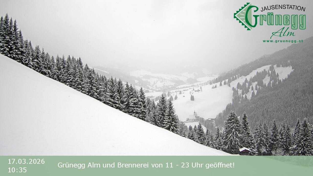 Archiv Foto Webcam Dienten: Ausblick Grünegg Alm