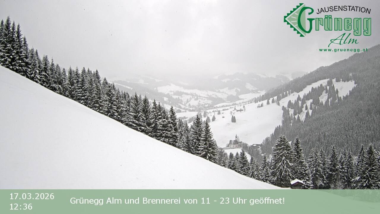 Archiv Foto Webcam Dienten: Ausblick Grünegg Alm