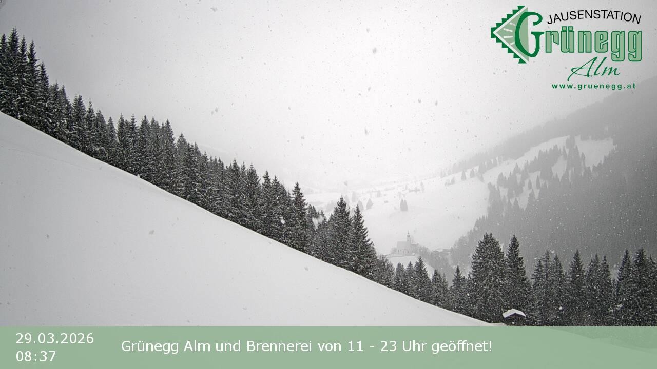 Archiv Foto Webcam Dienten: Ausblick Grünegg Alm