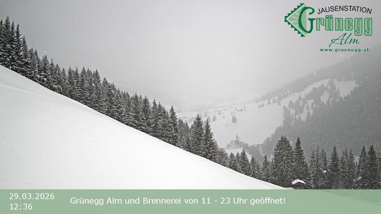 Archiv Foto Webcam Dienten: Ausblick Grünegg Alm