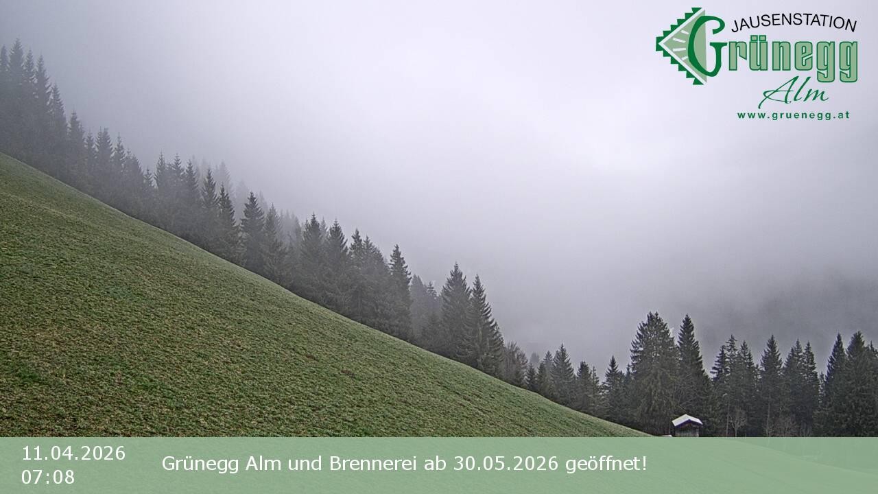 Archiv Foto Webcam Dienten: Ausblick Grünegg Alm
