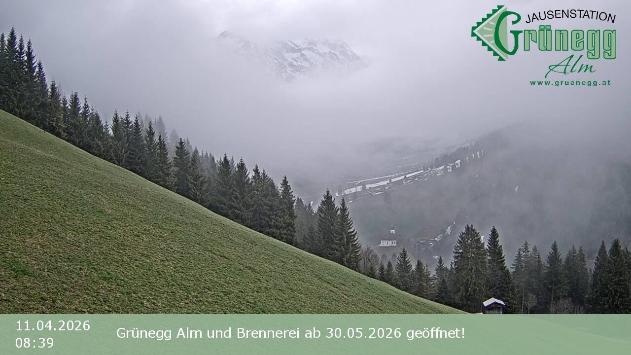 Archiv Foto Webcam Dienten: Ausblick Grünegg Alm