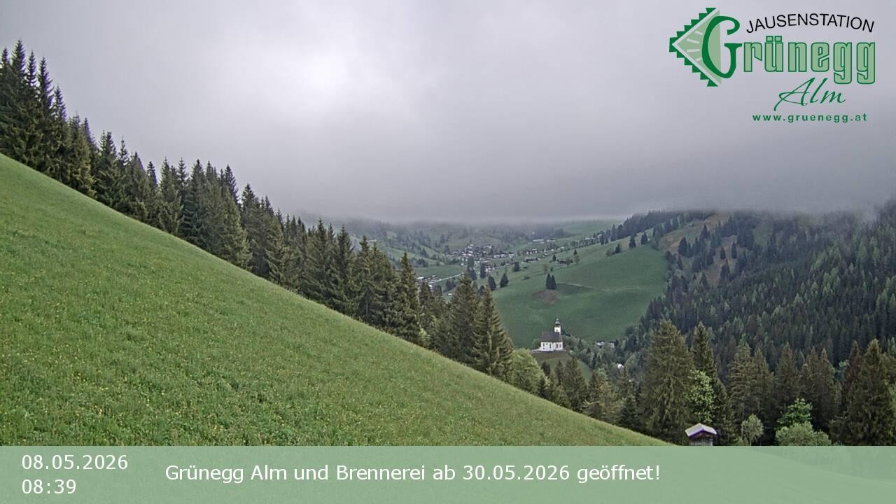 Archiv Foto Webcam Dienten: Ausblick Grünegg Alm