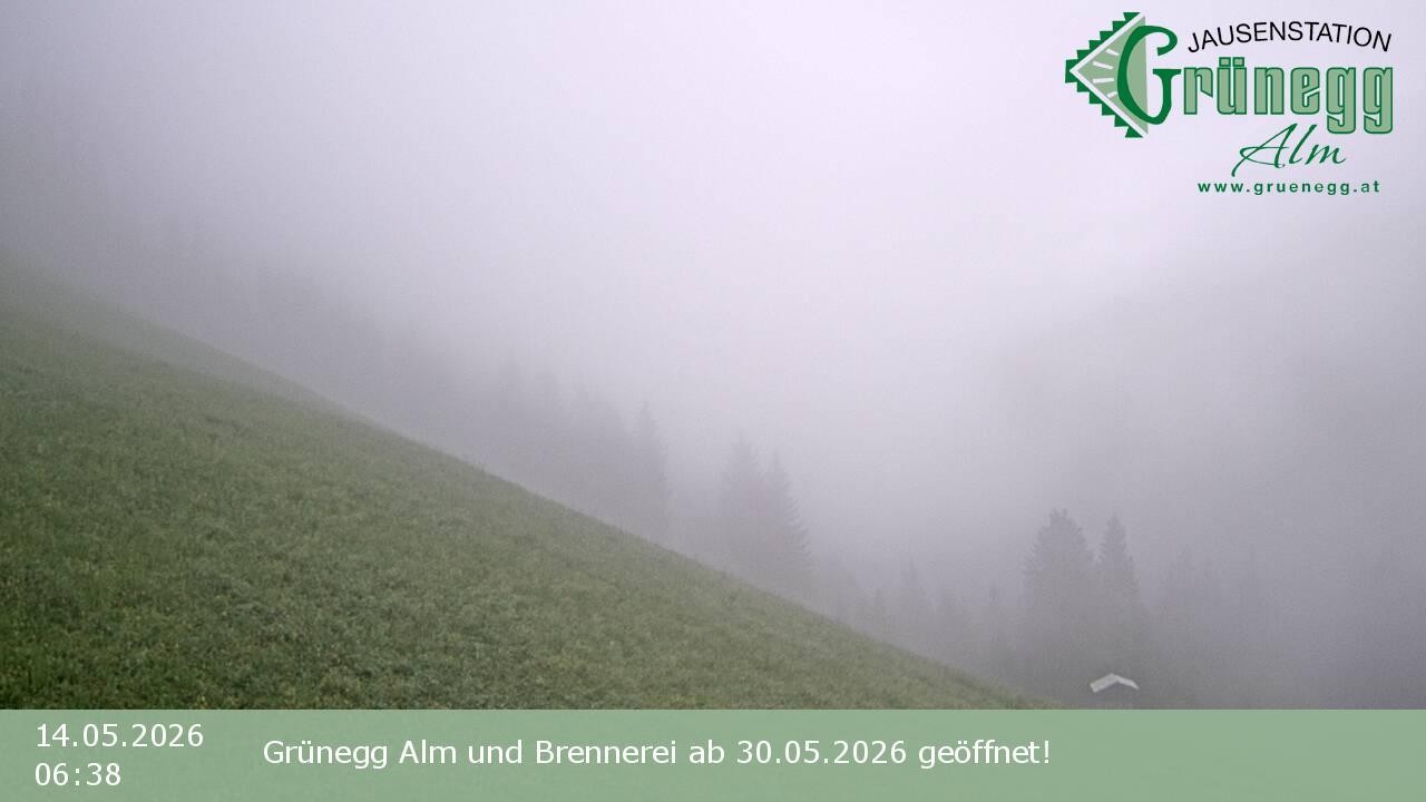 Archiv Foto Webcam Dienten: Ausblick Grünegg Alm
