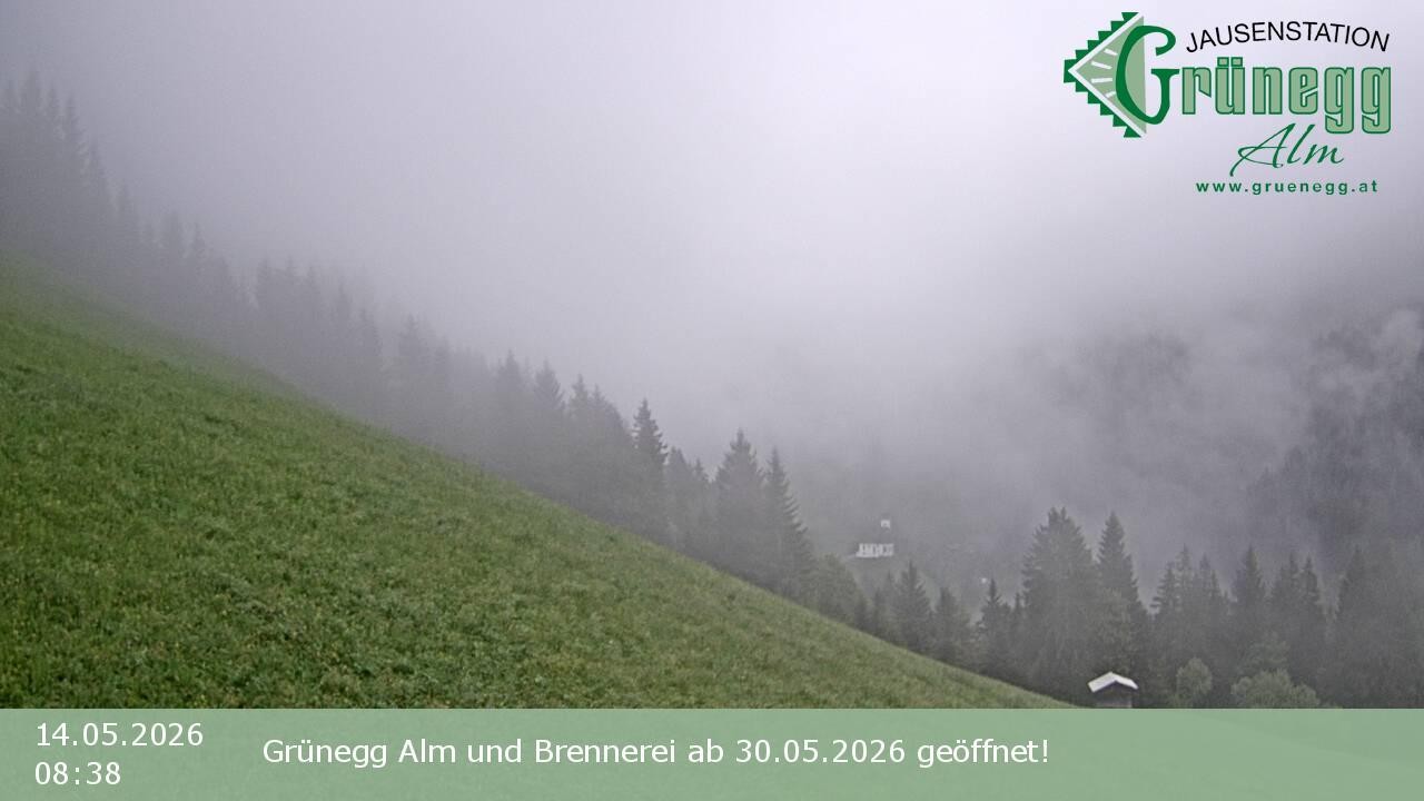 Archiv Foto Webcam Dienten: Ausblick Grünegg Alm