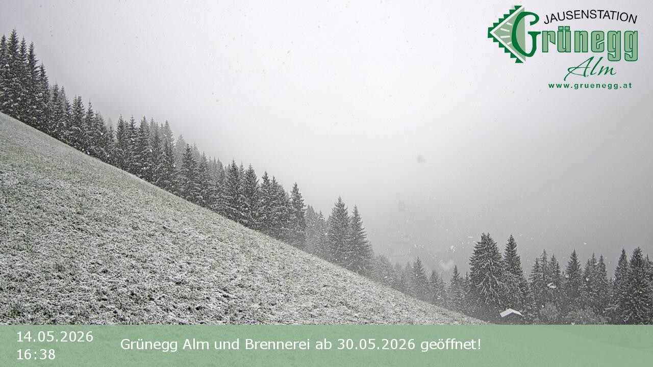 Archiv Foto Webcam Dienten: Ausblick Grünegg Alm