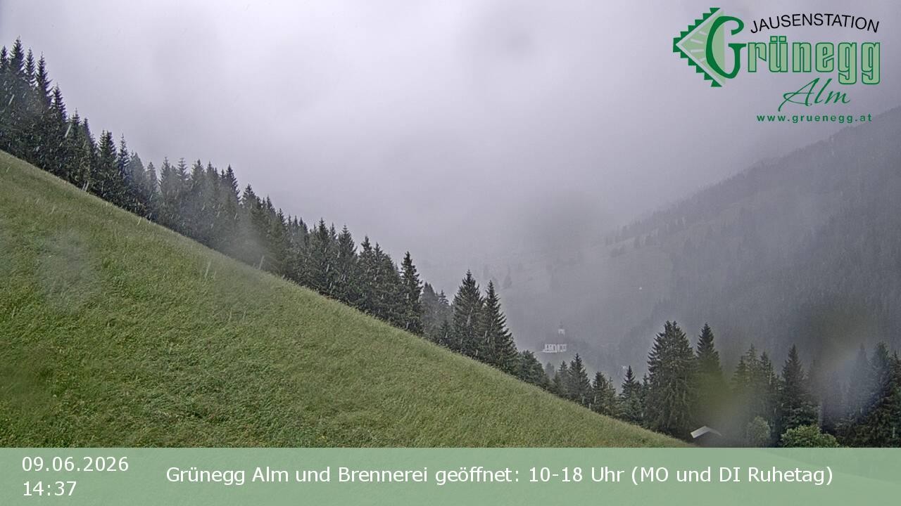 Archiv Foto Webcam Dienten: Ausblick Grünegg Alm