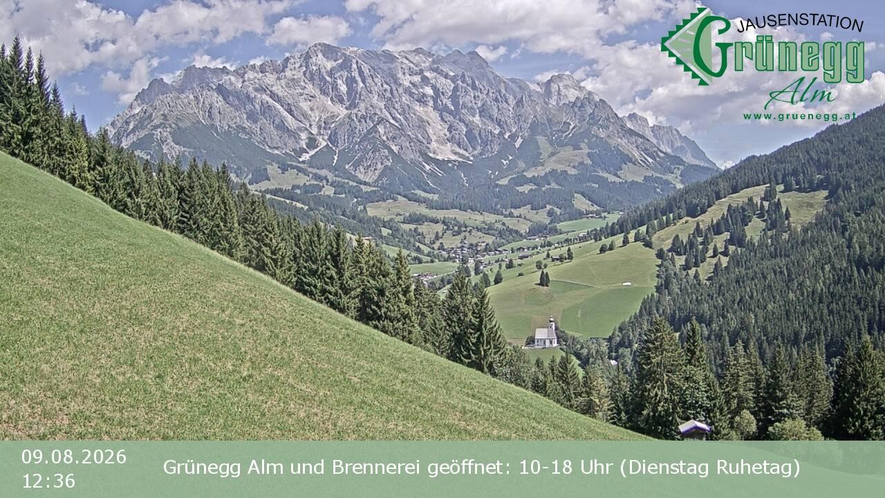 Archiv Foto Webcam Dienten: Ausblick Grünegg Alm