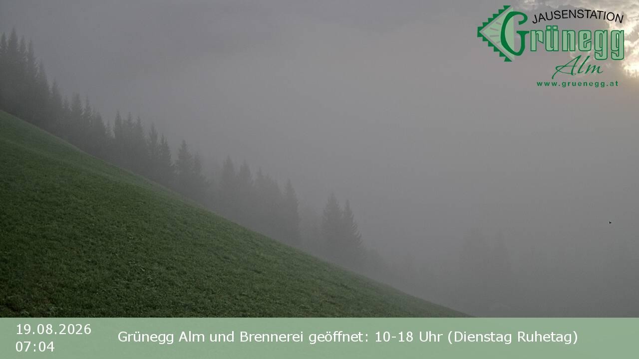 Archiv Foto Webcam Dienten: Ausblick Grünegg Alm