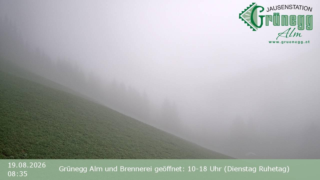Archiv Foto Webcam Dienten: Ausblick Grünegg Alm