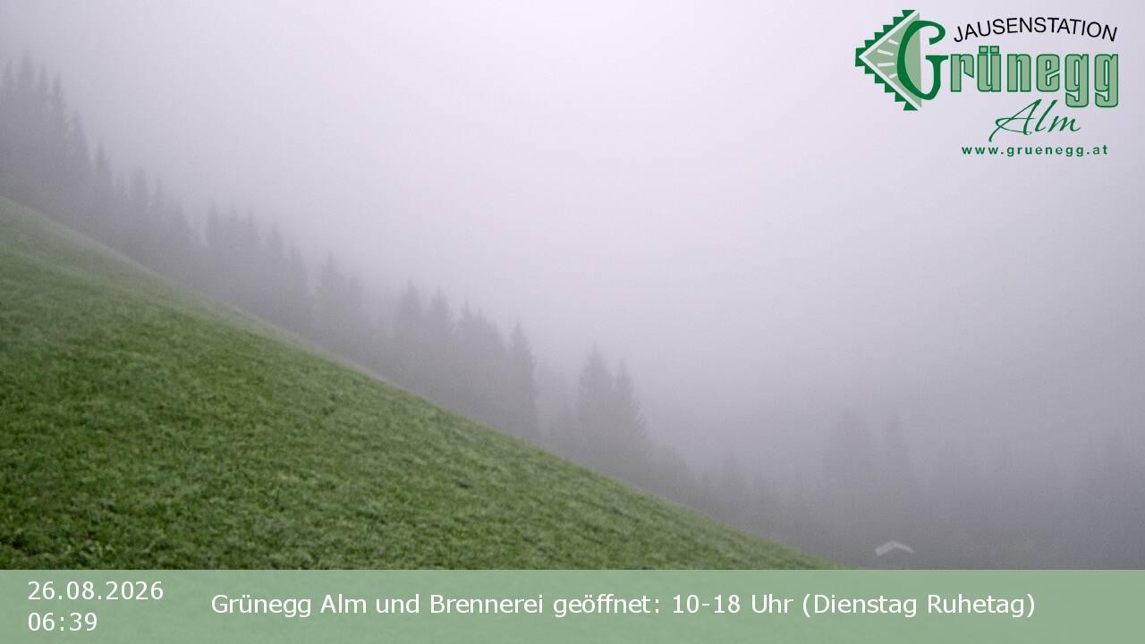 Archiv Foto Webcam Dienten: Ausblick Grünegg Alm