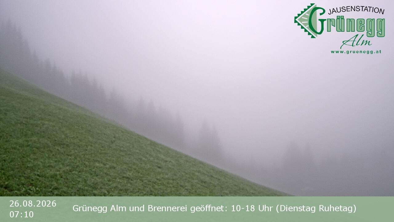 Archiv Foto Webcam Dienten: Ausblick Grünegg Alm
