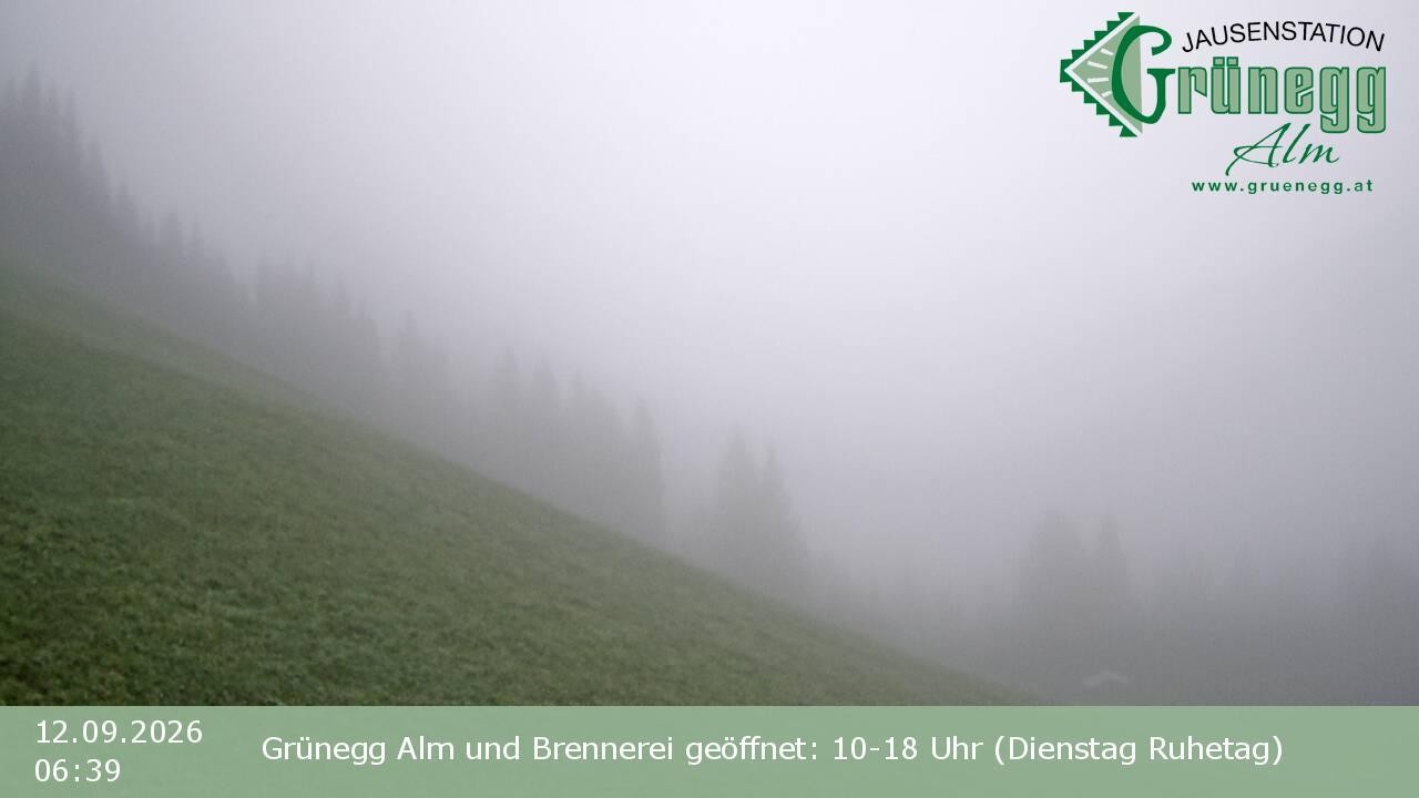 Archiv Foto Webcam Dienten: Ausblick Grünegg Alm