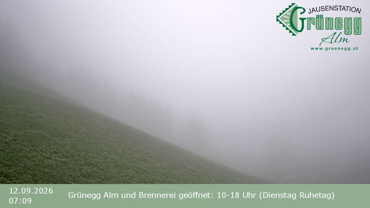 Archiv Foto Webcam Dienten: Ausblick Grünegg Alm
