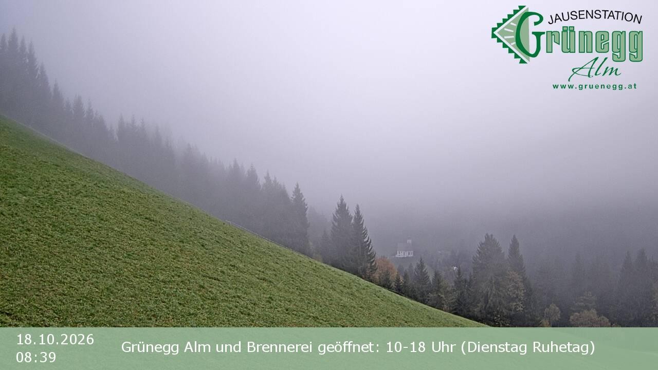 Archiv Foto Webcam Dienten: Ausblick Grünegg Alm