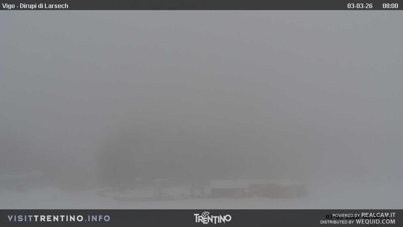 Archived image Webcam Dirupi di Larséc