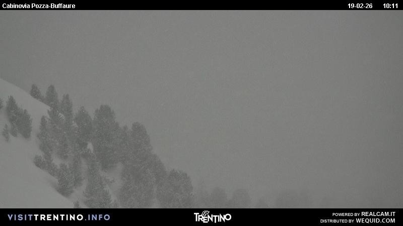 Archiv Foto Webcam Pozza-Buffaure