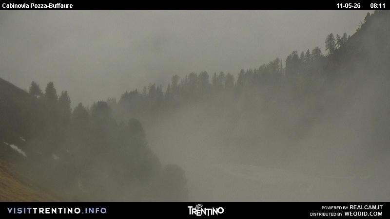 Archiv Foto Webcam Pozza-Buffaure