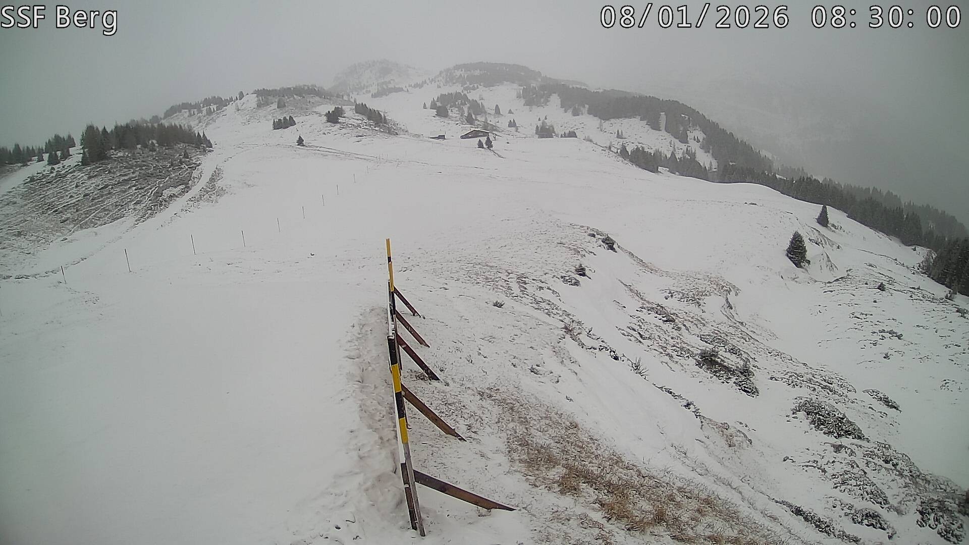 Archived image Webcam Mutta - Alp Raguta