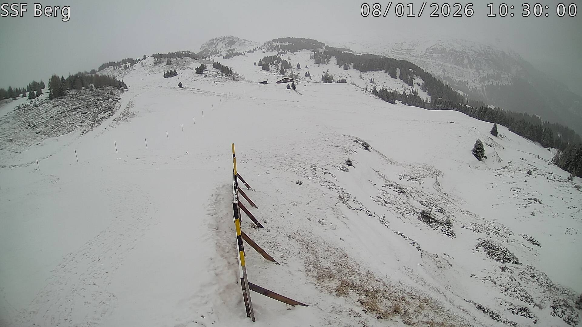 Archiv Foto Webcam Mutta Richtung Alp Raguta