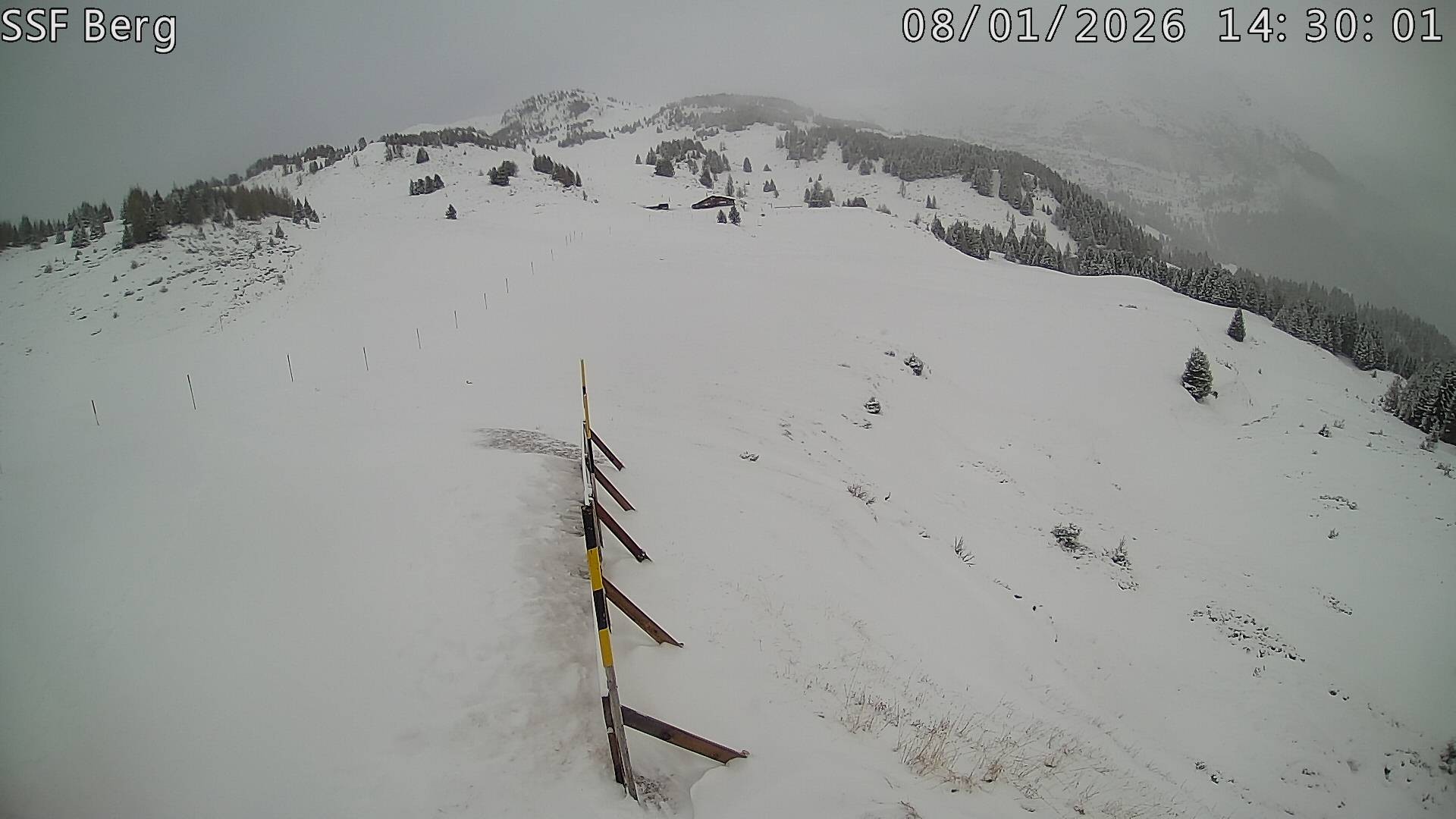 Archiv Foto Webcam Mutta Richtung Alp Raguta