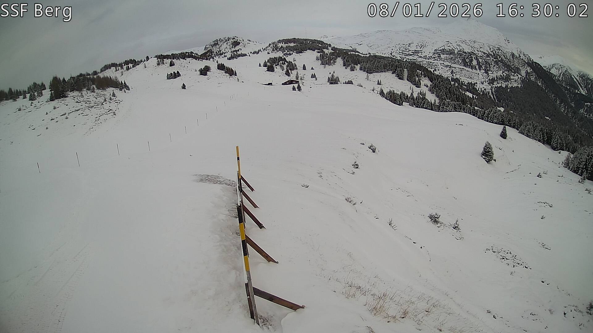 Archiv Foto Webcam Mutta Richtung Alp Raguta